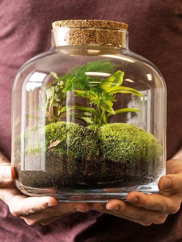 The Secret Code of Our World: Unveiling the Laws of Systems Thinking