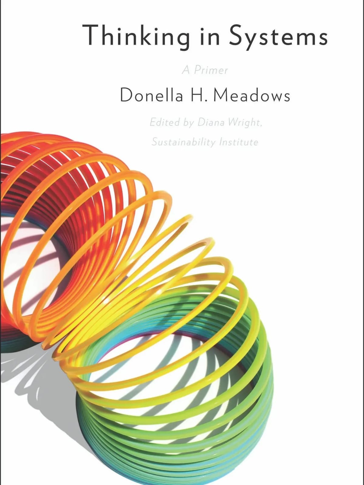 Beyond the Obvious: A Journey Through Thinking in Systems